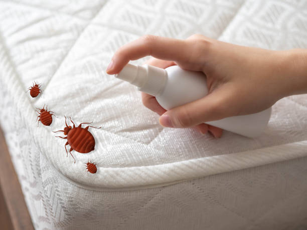 Pest Control for Restaurants in Port Byron, IL